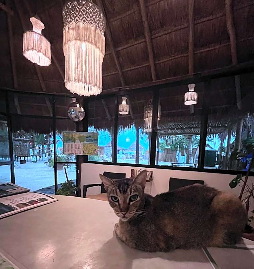 La Diosa Kali Beach Front Hotel