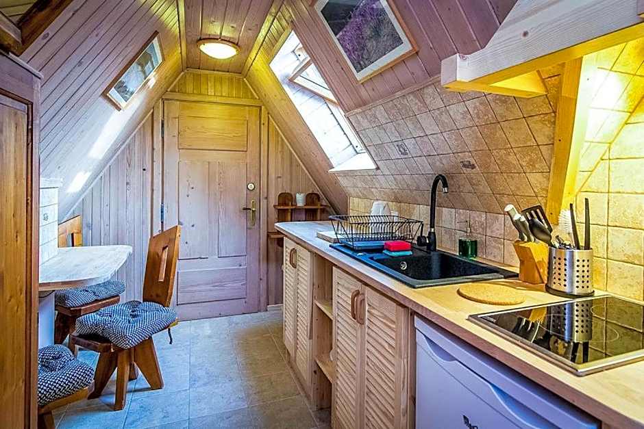 Aparthotel Pod Nosalem