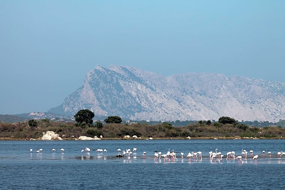 Monolocale belvedere