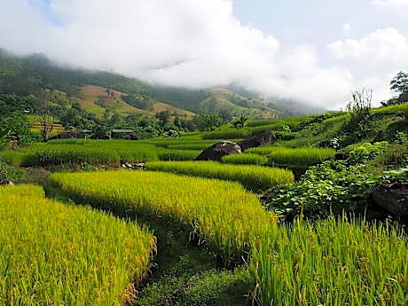 Kowit Maechaem Farmstay