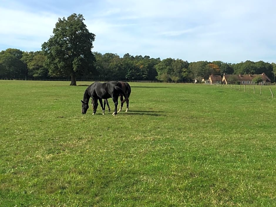 haras du Vignault Le Bûcher