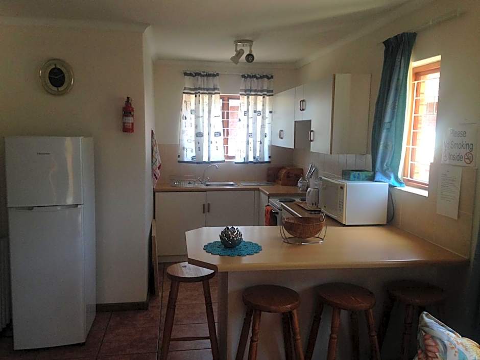 Blue Fern of Knysna