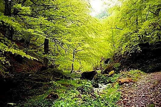 El Escondite del Miera