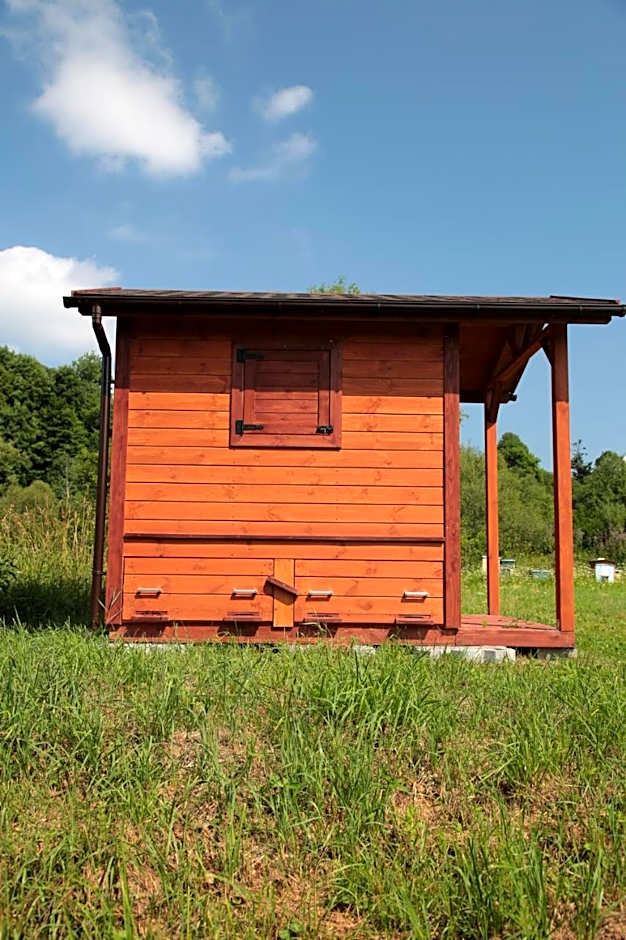 Domki w Smolniku z możliwością apiterapii