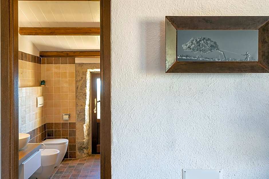 PedrAmare Suite