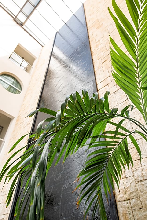 Soho Playa Hotel