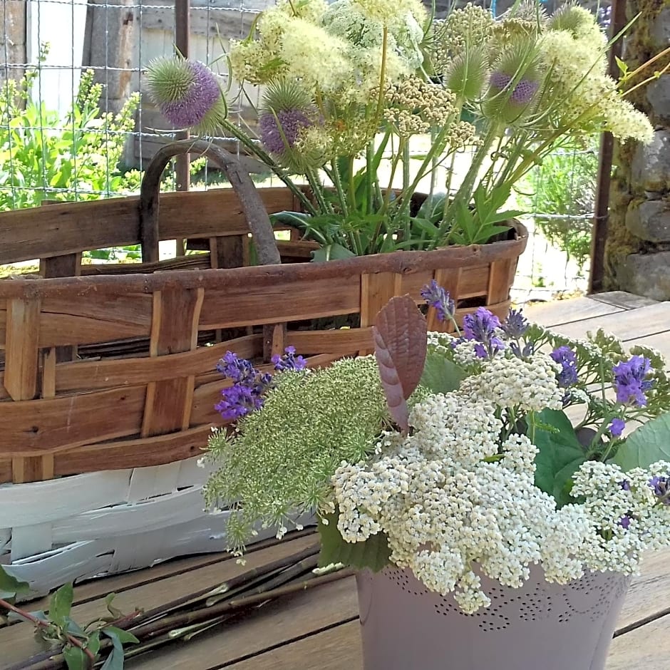 Esprit Nature Rêve d'étoiles