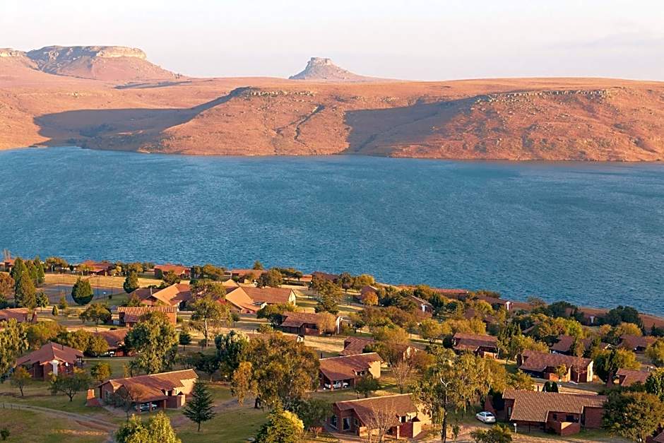 First Group Qwantani