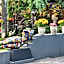Sunrock Guesthouse