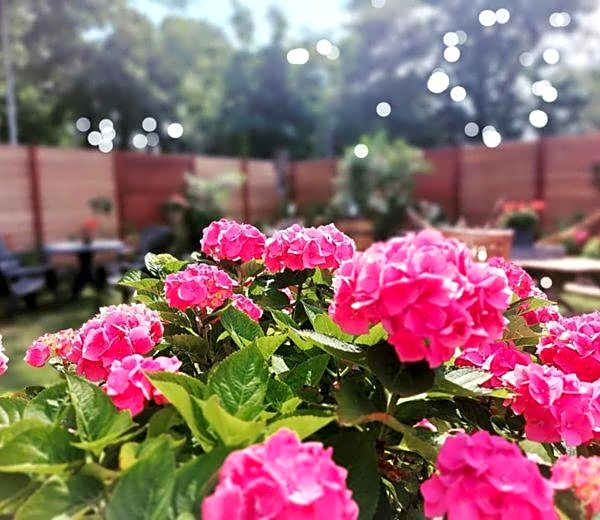 Maison Bellefleur B&B - Pension