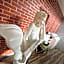 Marina Hotel Kaikuu - Vacation STAY 58541v