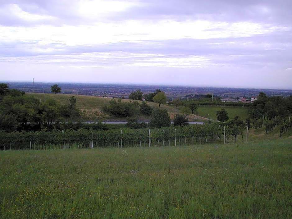 Hotel Ristorante Pedrocchi