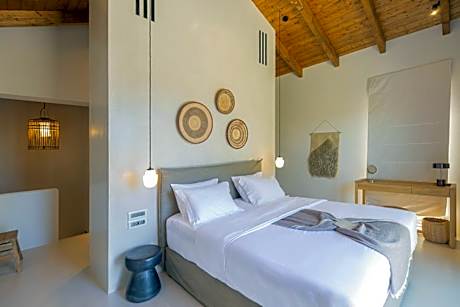 Elia One Bedroom Villa with Private Pool