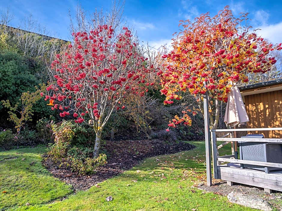 Wanaka Springs Lodge