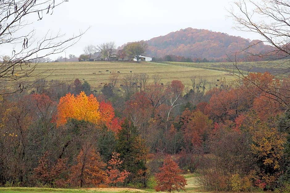 Cedar Creek