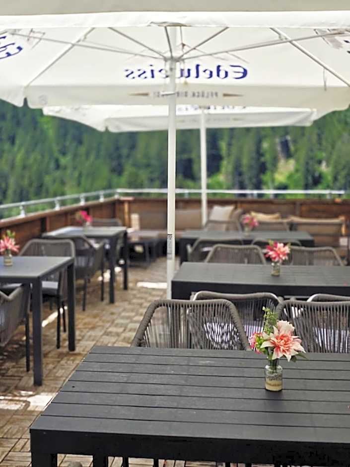 Hotel Buckelhof - See - Free Liftpass Summer