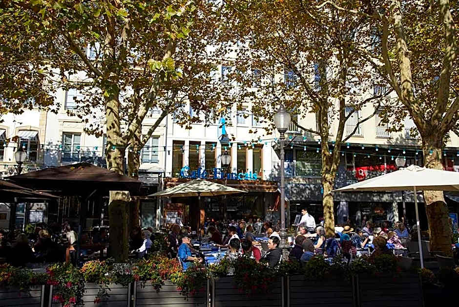 Hotel Francais