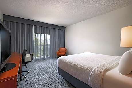 Room, 1 King Bed with Sofa bed (1 King Bed and 1 Double Sofa Bed)