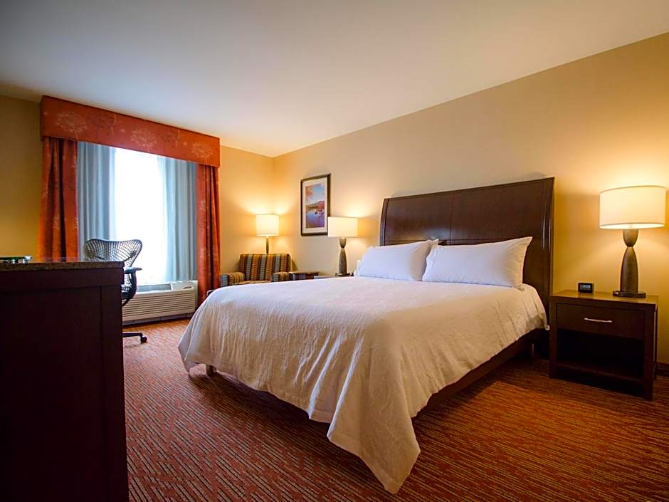 Photo 1 of 1 of Junior 1 King Bed Suite, Hearing/Mobility Accessible, Bathtub