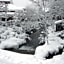 Houshi Onsen Chojukan