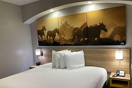 King Room with Roll-In Shower - Mobility/Hearing Accessible - Non-Smoking