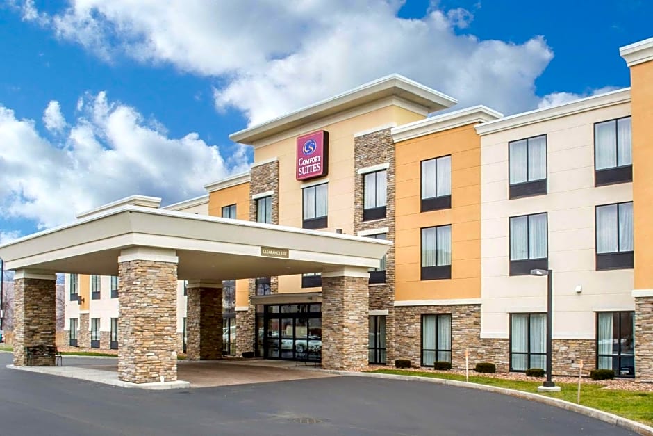 Comfort Suites Cicero - Syracuse North