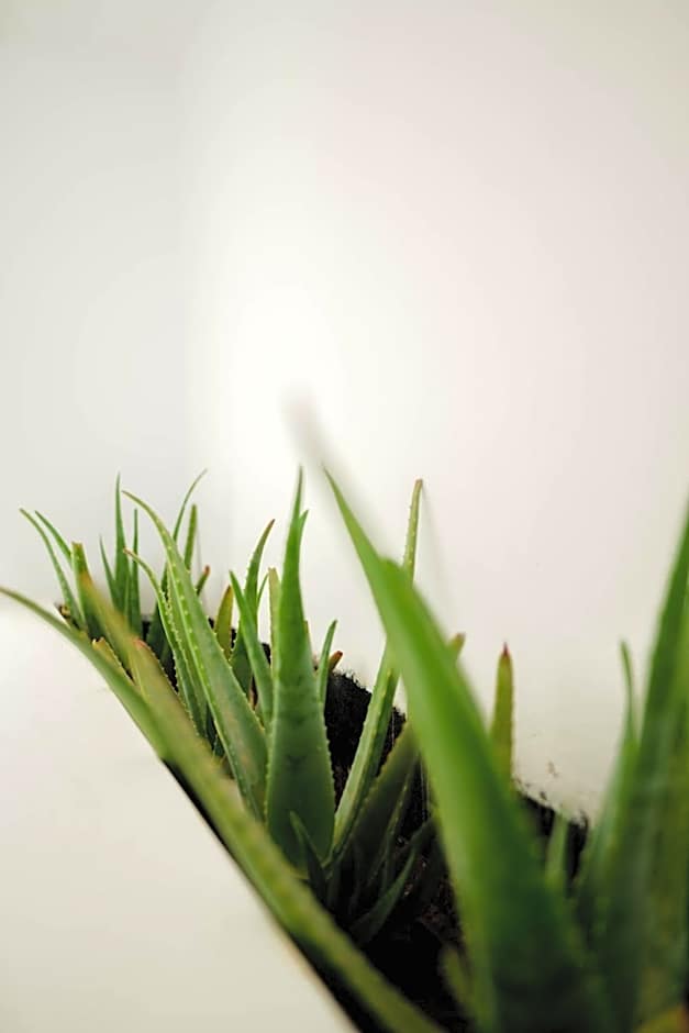 CUBIC Mykonos Seafront Design Suites