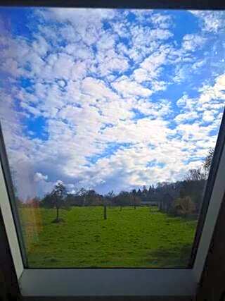 Les Lys