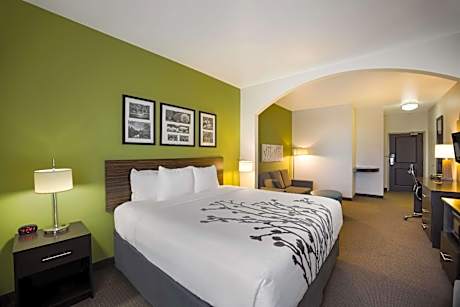 King Suite with Sofa Bed - Non-Smoking