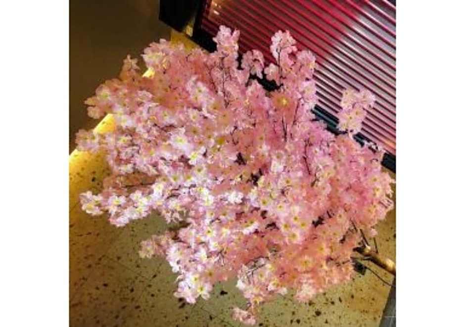 Sakura Sky Hotel - Vacation STAY 18444v