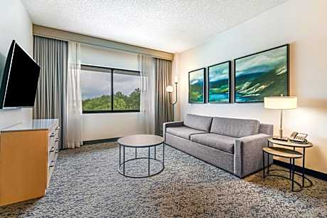 King Suite - Hearing Accessible - Non-Smoking