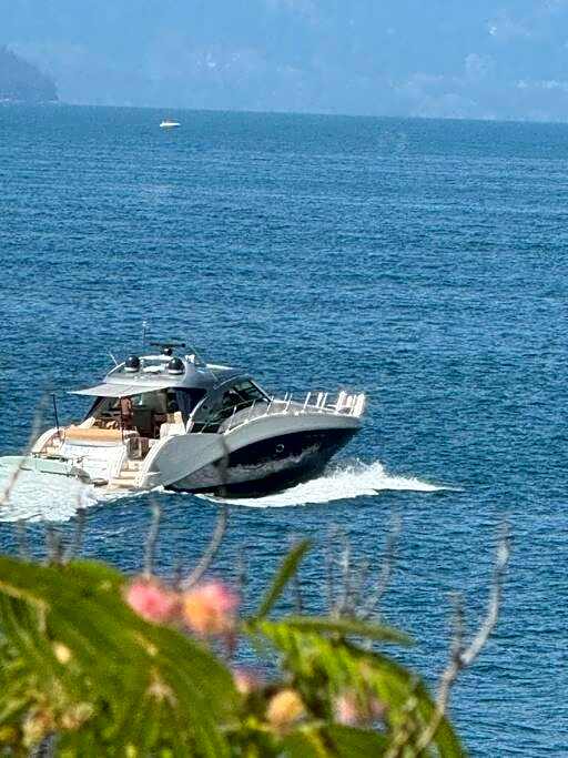 Dream House -Water Lily