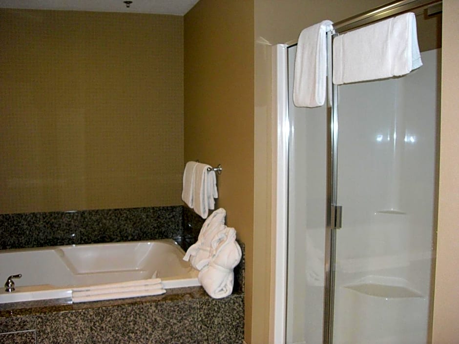 Holiday Inn St. Paul Northeast - Lake Elmo By IHG