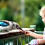 Amaroo Rainforest Resort