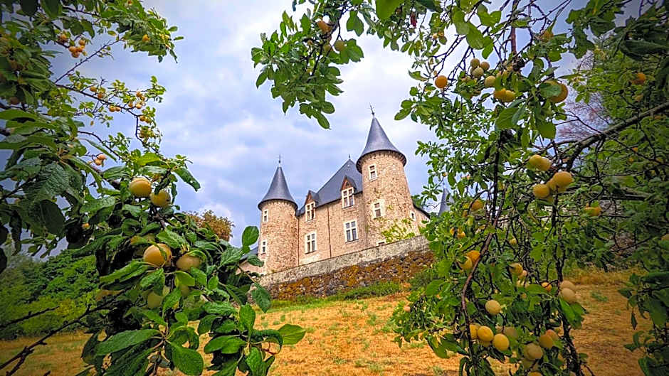 Chateau De Picomtal
