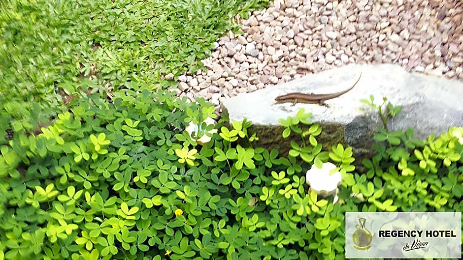 REGENCY HOTEL DE VIGAN