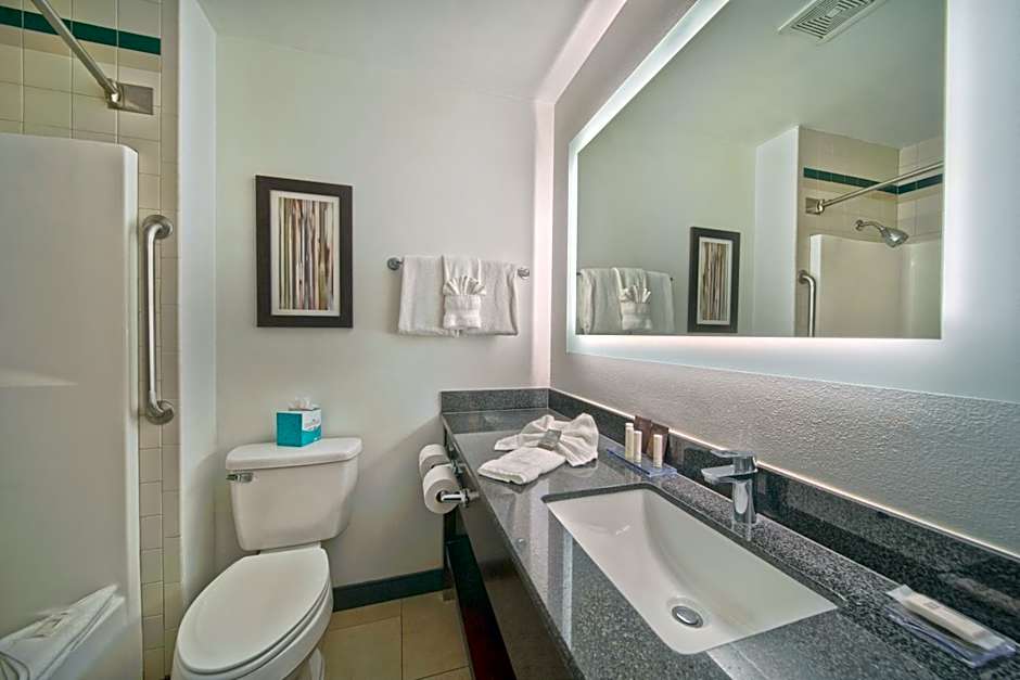 Wingate by Wyndham Round Rock Hotel & Conference Center