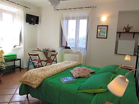 Standard  Double Room