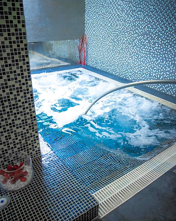 Hotel Veracruz Plaza & Spa