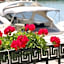 Mistral Balchik