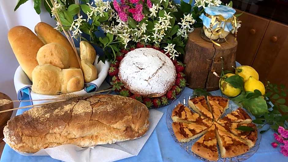 Oasi Madre della Pace