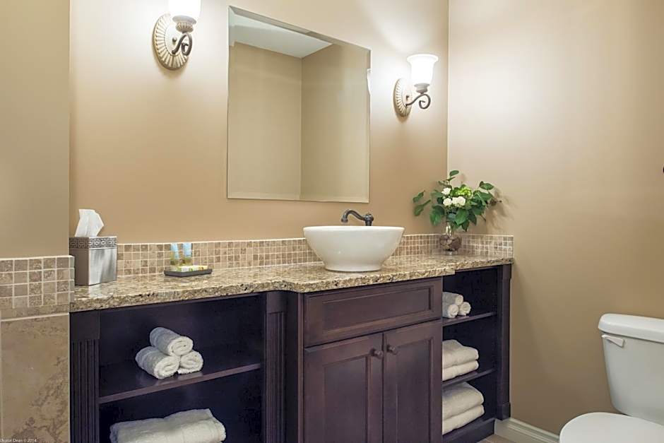 The Castle at Swan Lake