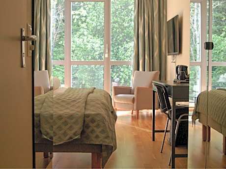 Superior Double or Twin Room with Mountain View