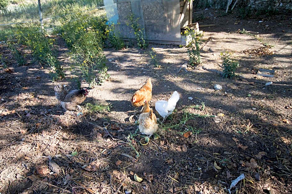 Les Résidences de Métifiot