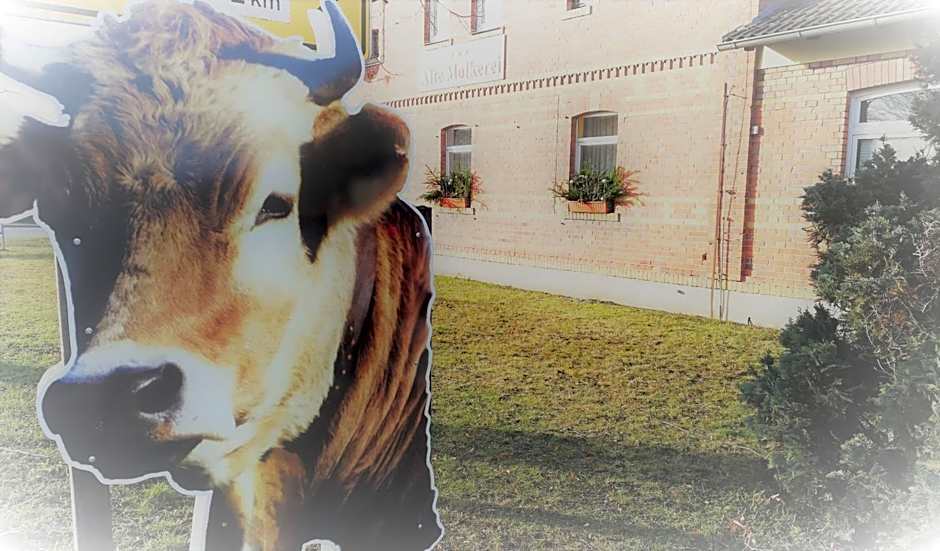 Hotel & Restaurant Alte Molkerei Kölleda