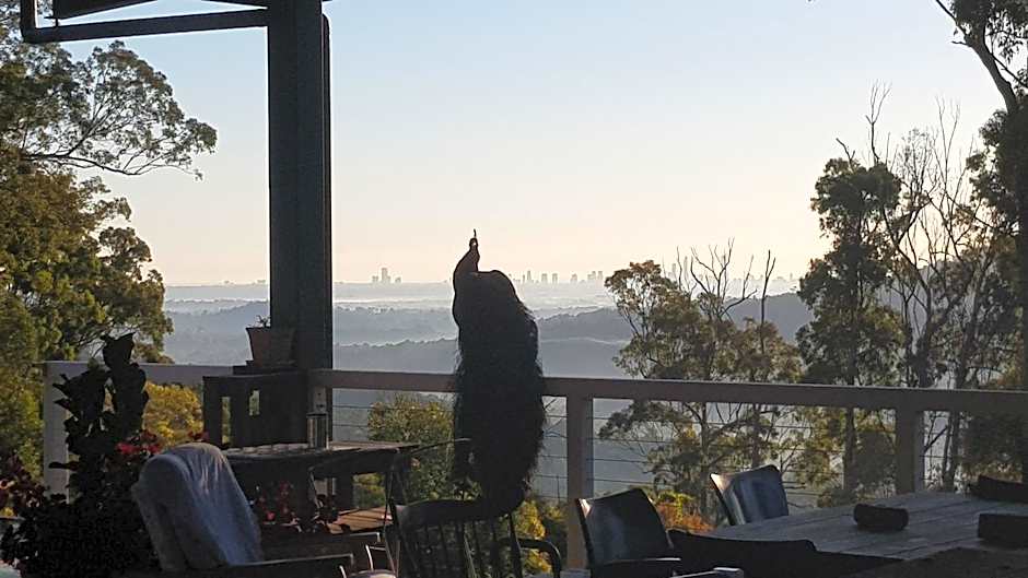 Gold Coast Tree Houses