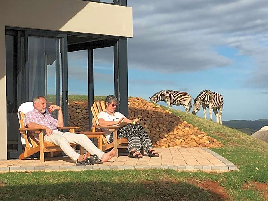 JBay Zebra Lodge