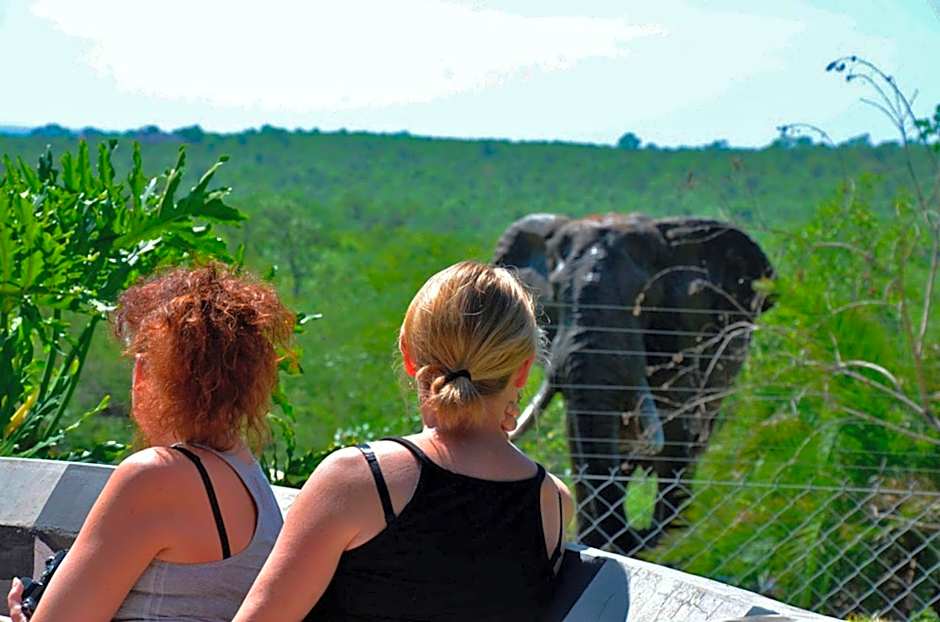 Tingala Lodge - Bed in the Bush