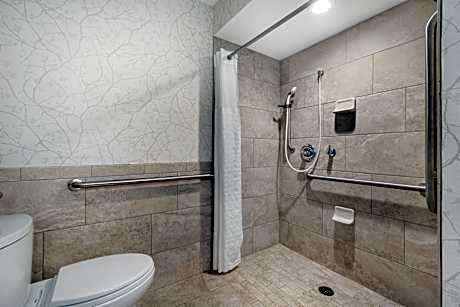 Accessible - 1 King Mobility Accessible Communication Assistance Roll In Shower Non-Smoking Full Br