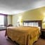 Quality Inn and Suites Kingston